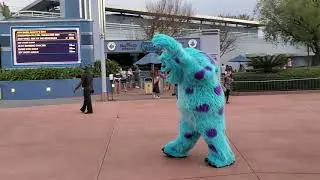 Disney Hollywood Studios  - Character Parade