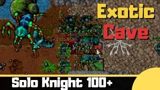 Экзотическая пещера [Где охотиться в одиночку EK 100+]