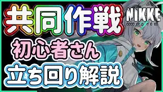 【メガニケ】共同作戦！初心者さん立ち回り解説！【勝利の女神NIKKE】