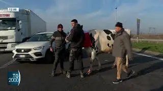 Si infiamma anche in Italia la protesta degli agricoltori