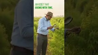 Svabhumi The Legacy Asset   #sandalwoodfarming #farmlandinvestment #farming #legacyinvestment