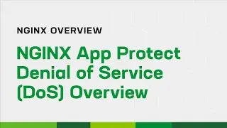 Обзор отказа в обслуживании (DoS) в NGINX App Protect