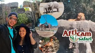 AFRICAM SAFARI🦒🐘🦁🦏 Una experiencia inolvidable🥰 |Michell Curly