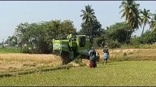 Village Talkies Entertainers &ndash; Best Village Entertainment & Rural Culture Videos நெல் அறுவடை
