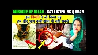 MIRACLES OF ALLAH | CAT WILL NOT STOP LISTENING TO QURAN|MIRACLES OF QURAN|REACTION