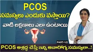 PCOS in Telugu | PCOS Symptoms and Treatment | Polycystic Ovary Syndrome