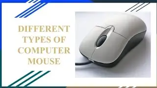 Different types of Computer Mouse