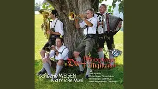 Drunt am Bacherl