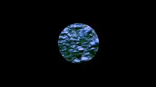 Richard Scott/Audrey Chen/Henrik Munkeby N&oslash;rsteb&oslash; - twipoo