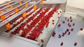 Chinese  red jujube cleaner machine,apple cleaner machine manufacturer,vegetable cleaner machine