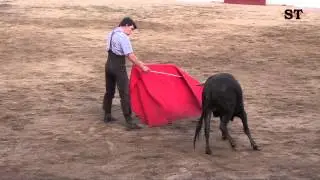 Tarde Taurina da Juventude em Arronches