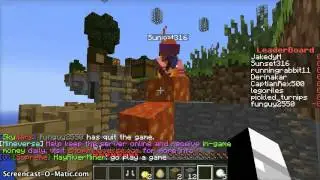 Application for letsgomine21's server
