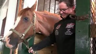 Did You Know? Horse Tales Literacy Project