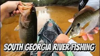 BREAM And BASS!! This River is LOADED!