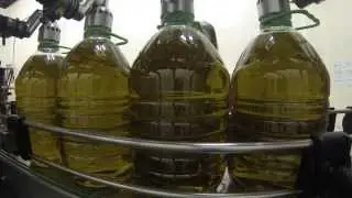 Envasado Aceite de Oliva Vírgen Extra - Cooperativa de Viver - Bienvenidos al Campo