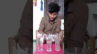 Egg and salt experiment | density check | vishnu's hub tamil | #shorts #trending #youtubeshorts