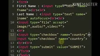 HSC 12th Information Technology || Advanced Web Designing || Chapter 1 || Input Restrictions Part 3
