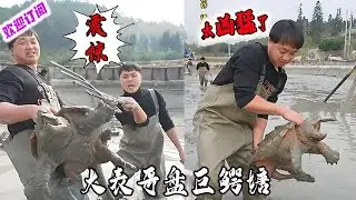 大表哥盘巨鳄塘，太凶猛了#viralvideo #户外 #抓鱼