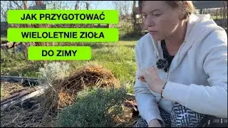 Kopczykowanie Ziół - Które Zioła Ochraniać Na Zimę?