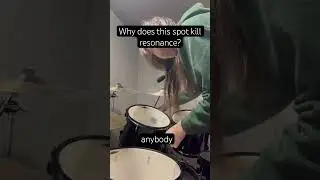 Why does this spot make toms less resonant? #tuning #drums #drummer #evansdrumhead