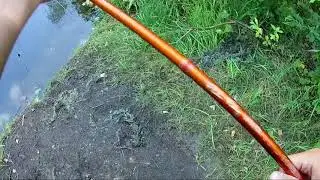 Sommarens fiske 2018
