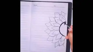 how to draw sunflower/step by step