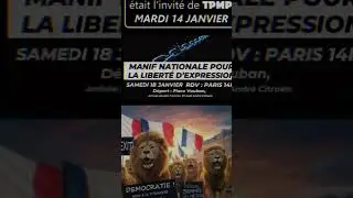 #france #gladiator #lion #manifestation #libert&eacute; #libert&eacute;dexpression #c8 #tpmp #nrj12 #philippot