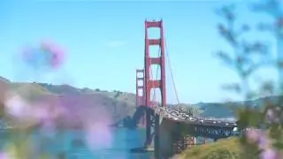 North America - West Coast road trip - 2017