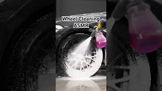 Satisfying BMW M140i Wheel Deep Clean