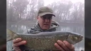 FEEDER FISHING ADDA Cavedani