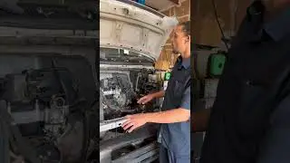 Why the labor ain&rsquo;t cheap on their engine replacement #cartips #alexthecardoctor