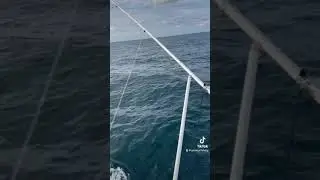 Gulf Stream Outiggers on Viking