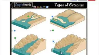 different types of estuaries, exercise for geography, quiz game