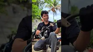 day bahasa illanois. #experiment #modified