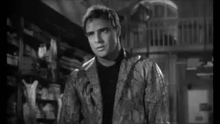 The Fugitive Kind 1959 - A Town Like This