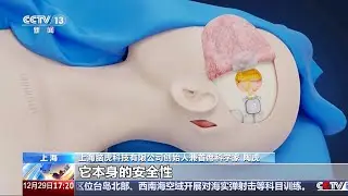科技推动力：独家探访侵入式柔性脑机接口电极工厂 连接未来 脑机接口 为盲人重建视觉感知