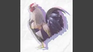 Pajarito