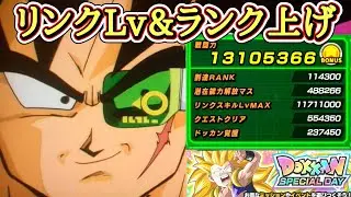【ドッカンバトル】年内最後のドッカンSPECIALデイ！『精神と時の部屋』リンクスキルLv&ランク上げ周回！