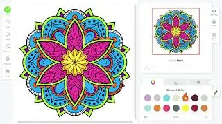 Coloring Book for adults - mandala 16