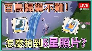 【薏仁LIVE】1/27 觀鳥其實不難！鳥盯著你看，只需要這樣做？《心動小鎮》