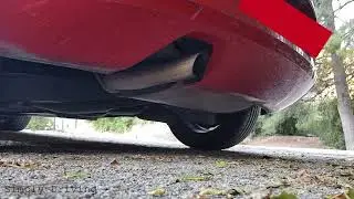 2006 Seat Leon 1.6 MK2 | Start up, revving & exhaust sound