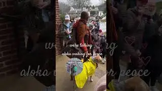 aloka walk for peace ✌️ hole world 🌍 with bouddhist monk #viralvideo #trending #motivation