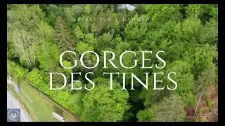 Anciennes Gorges des Tines