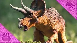 Mojo 2019 Triceratops || EPIC Underrated Trike!