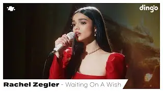 Rachel Zegler (백설공주 역) – Waiting On A Wish (영화 ‘백설공주’ OST) | dingo live | 딩고뮤직 | DingoMusic