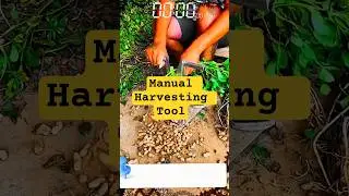 Manual Peanut Separator &ndash; Simple & Efficient Harvesting Tool
