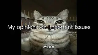 Kind of serious issues that I want to talk about.