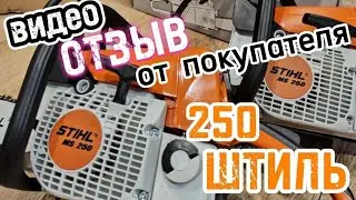 Ms250, ОТЗЫВ от покупателя