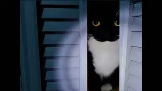 the meow behind the slaughter