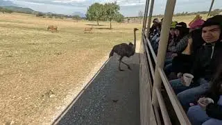 Bioparque estrella, montemorelos, Nuevo León, México, no tengo derechos de autor.